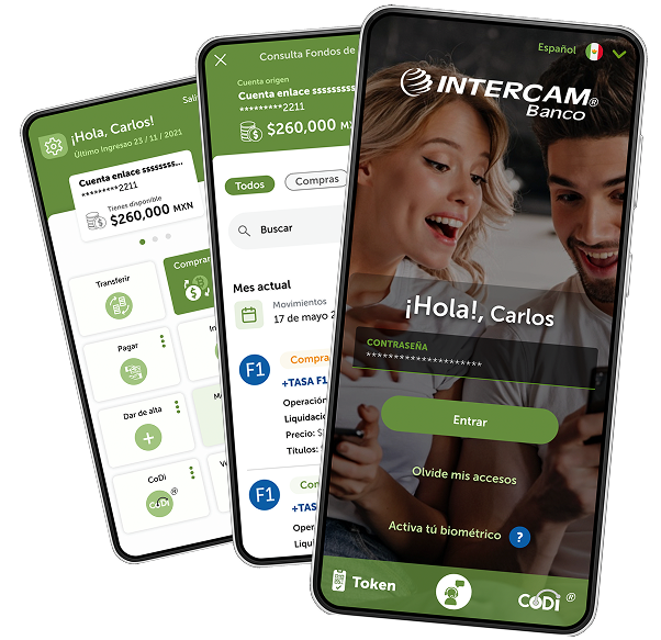 Mockups Transparentes Proyecto 2